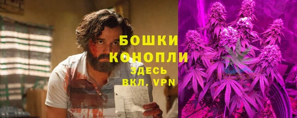 бутират Лагань