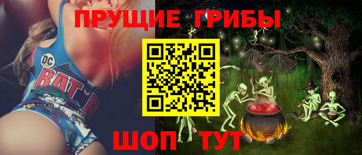 Галлюциногенные грибы Psilocybe  Вход с VPN  Сухой Лог 